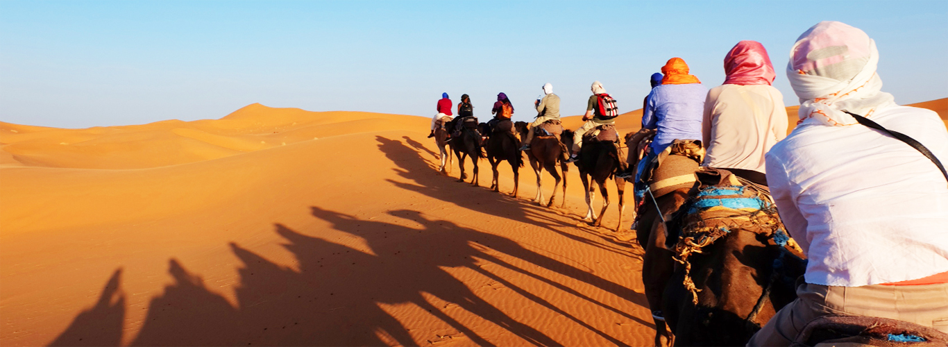 camel trekking Merzouga