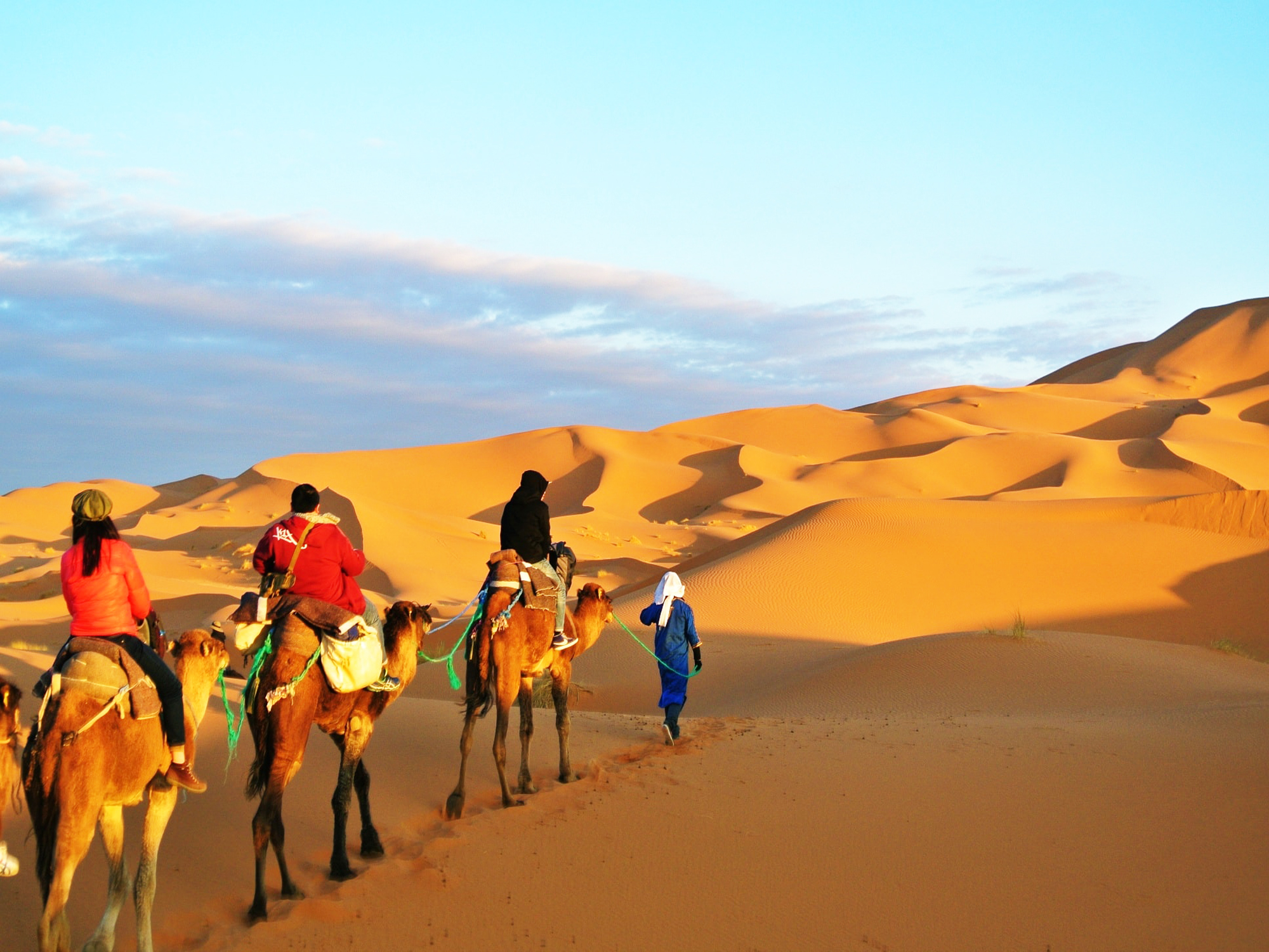 camel excursions in Merzouga