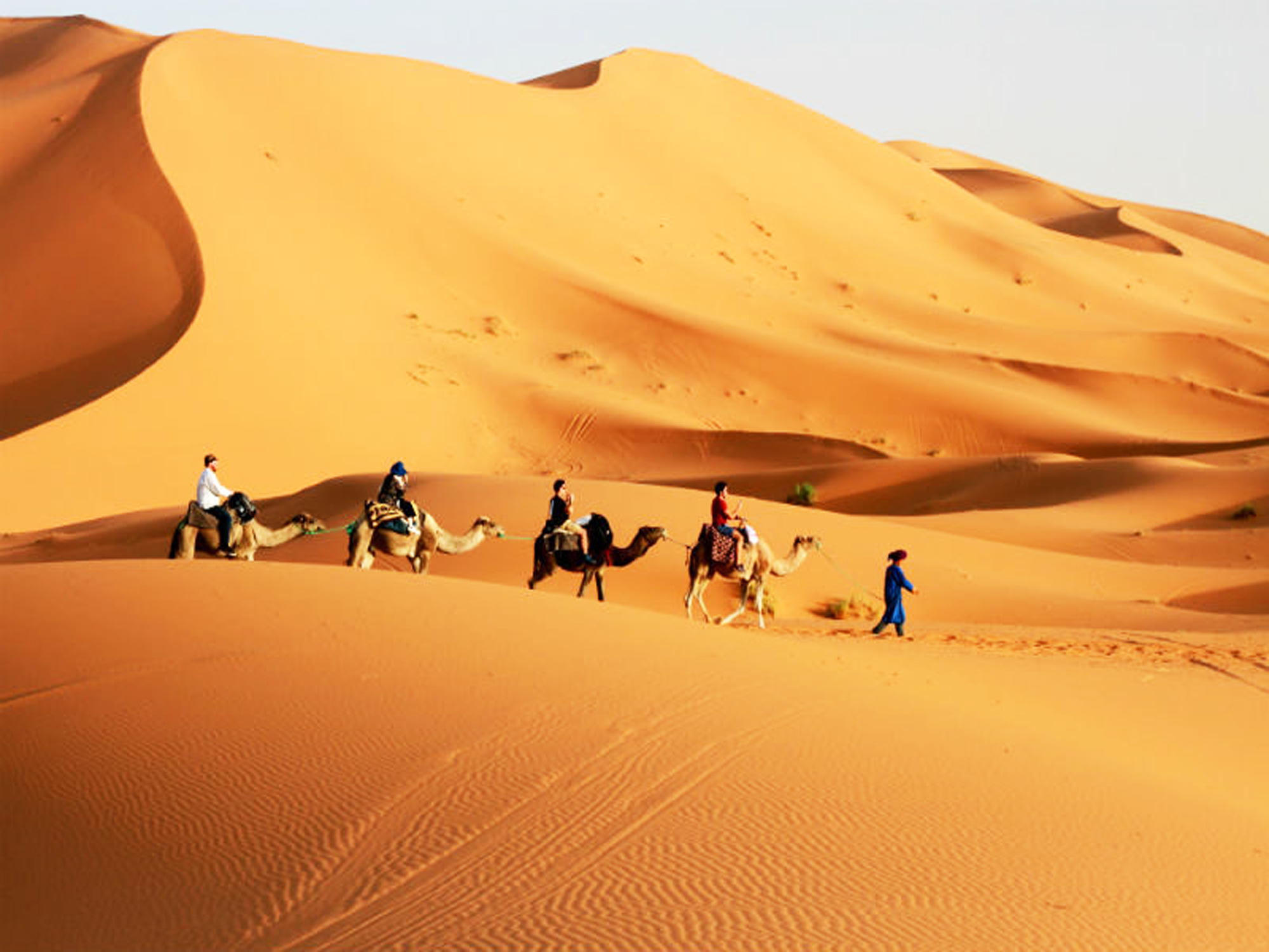 merzouga sahara desert