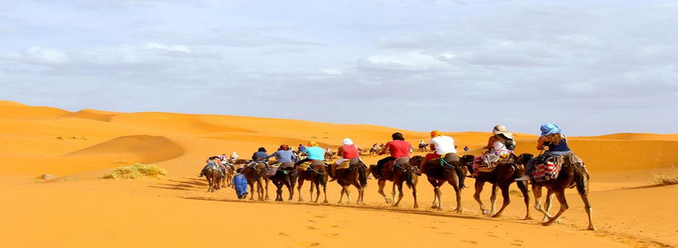 camel trekking Merzouga