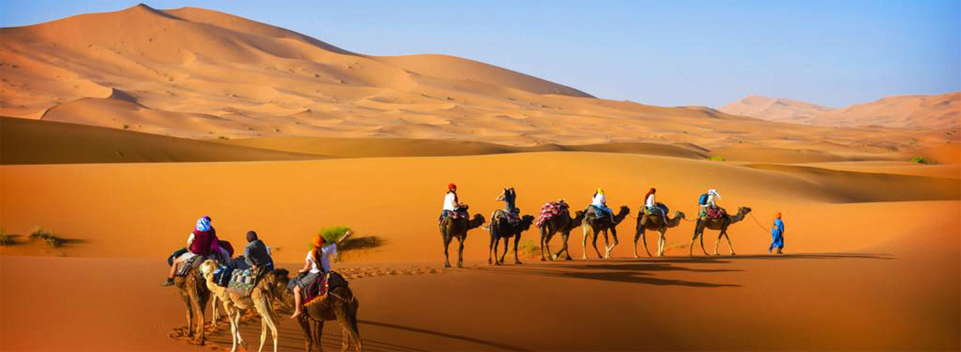 camel trekking Merzouga