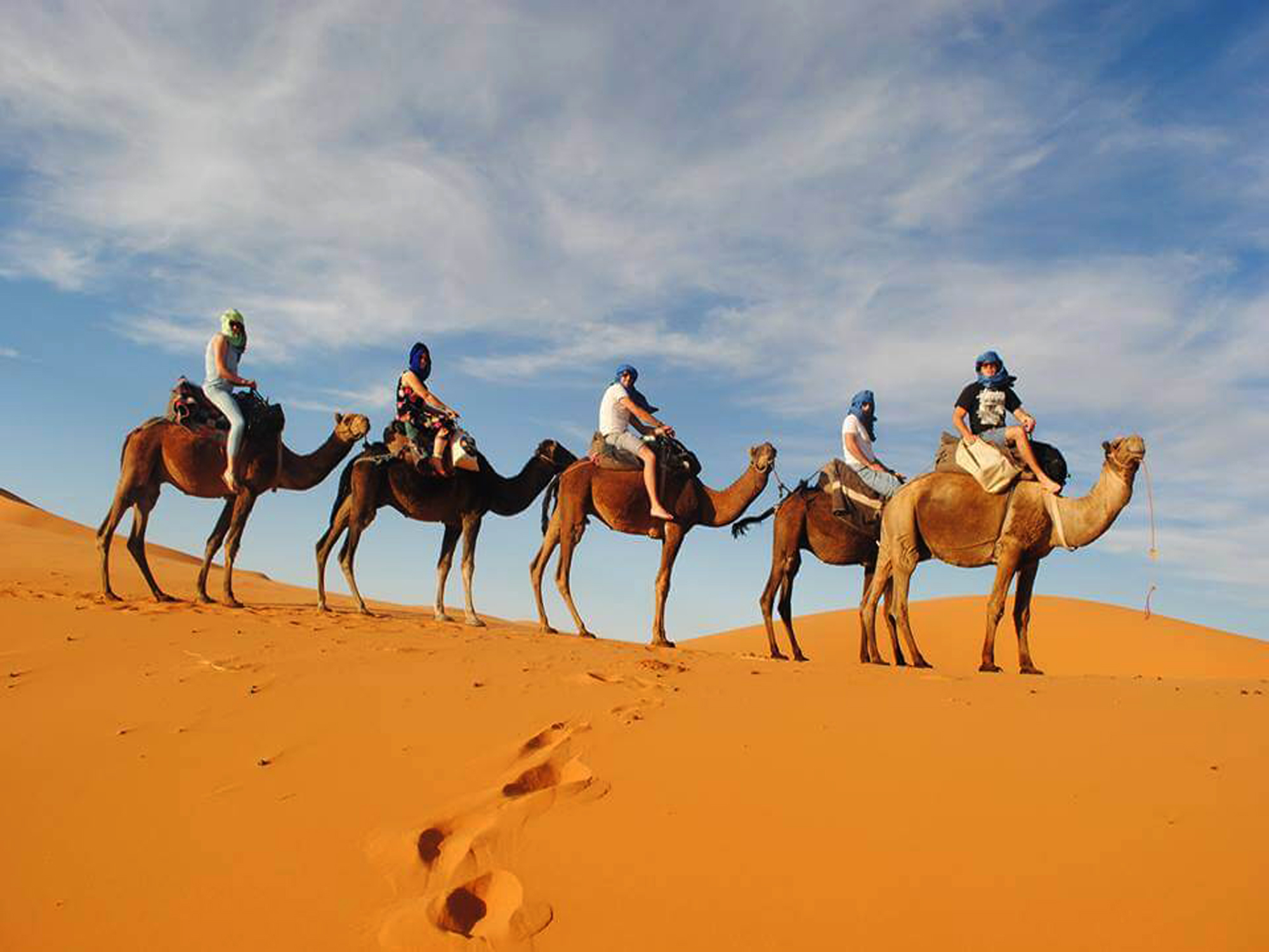 camel ride