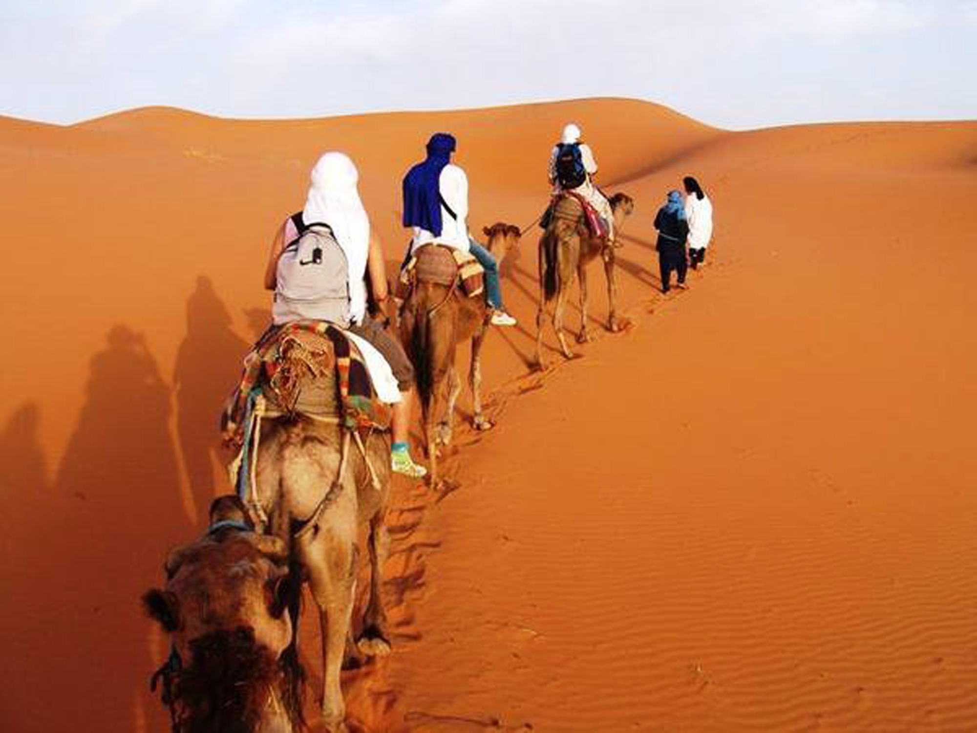 camel excursions in Merzouga